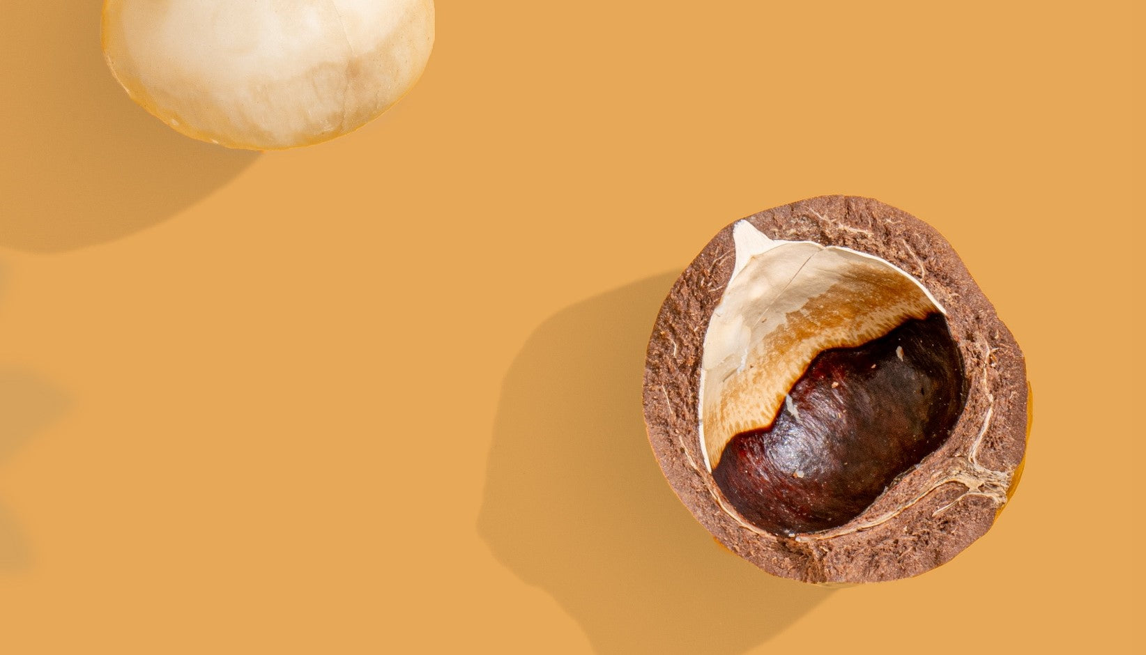 Why Macadamia Nuts – milkadamia